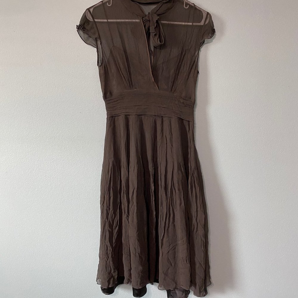 Dark Silk Ghostly Grey Brown Dress